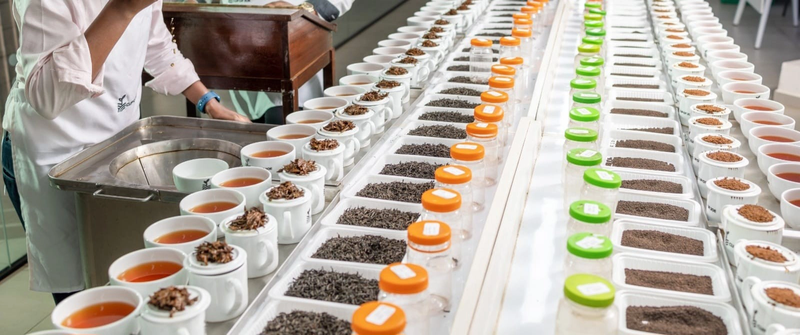 Cup-of-Joe-Limited-Tea-tasting-at-the-office